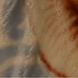 Meet your Posher, Luis